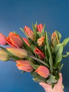 Fresh Cut Tulips